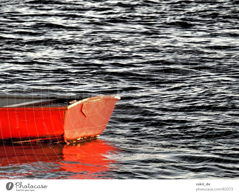 He's got a bright red..... Above Bottle Wet Red Watercraft Rowboat Waves Splashing Mirror Rheingau Eltville Watertight Navigation Waterway Weigh Stagger