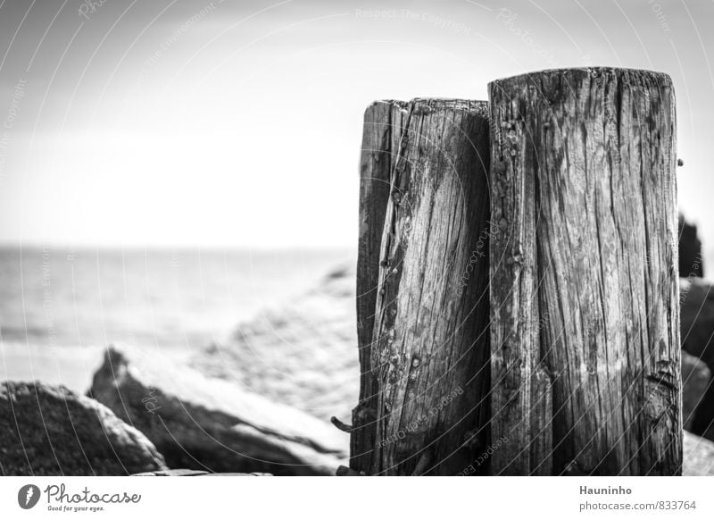 Wooden piles by the sea Vacation & Travel Tourism Far-off places Freedom Summer vacation Ocean Environment Nature Landscape Air Sky Beautiful weather