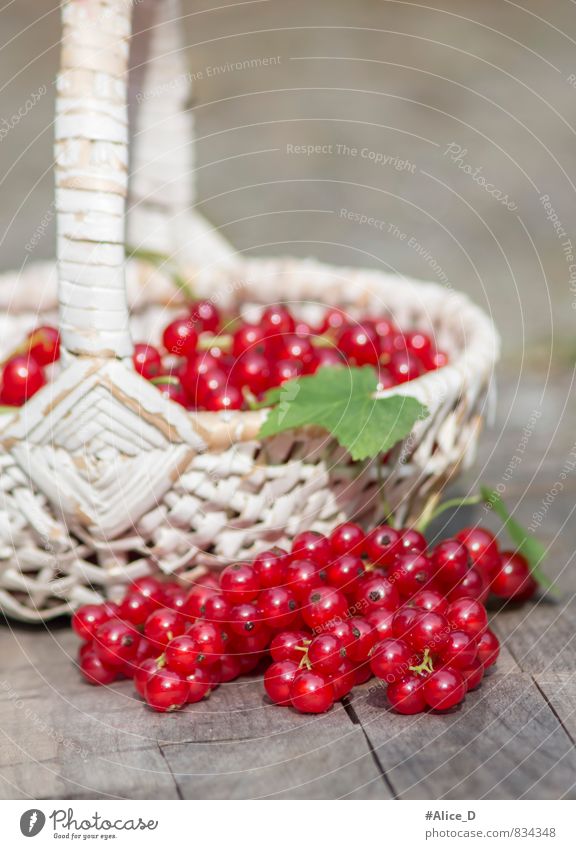 Organic Red Currants Food Fruit Dessert Fruit basket red berries Nutrition Breakfast Organic produce Vegetarian diet Diet Healthy Eating Nature