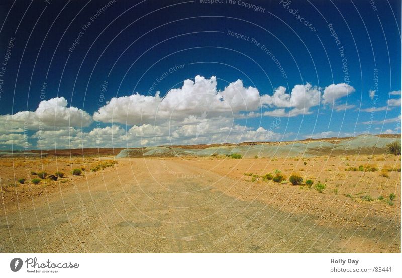 On the piste Far-off places Summer Sand Sky Clouds Beautiful weather Bushes Desert Traffic infrastructure Street Lanes & trails Line Infinity Blue Silver