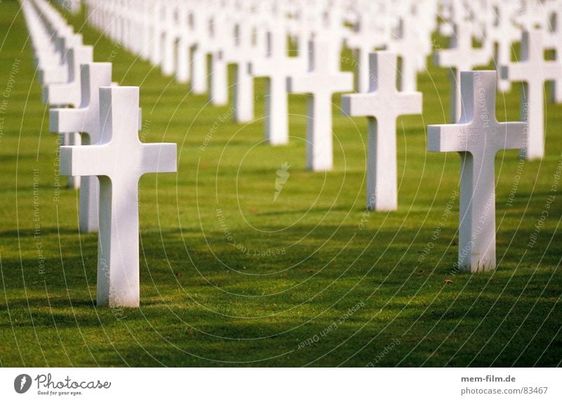 graves 1 Monument Military cemetery Futile Grave War Cemetery World War Soldier Grief Funeral Funeral service Tomb Military draft May 9, 1945 Distress Moral