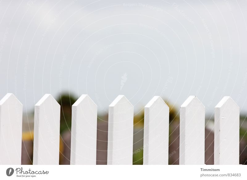 Bright. Environment Sky Clouds Denmark Deserted Fence Wood Esthetic Beautiful Natural Clean White Emotions Colour photo Exterior shot Copy Space top Day