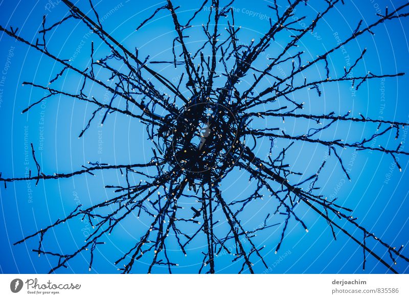 Cobweb with LED lighting in the pedestrian zone in Bamberg / Franconia in autumn. Design Senses Vacation & Travel Oktoberfest Spider's web Fairy lights Autumn