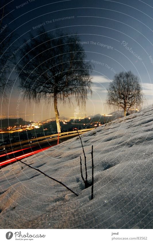 By moonlight Rear light Full  moon Long exposure Night Dark Mystic Moonlight Switzerland Wide angle Tree Branchage Crash barrier Winter mood Grass Cold Slope