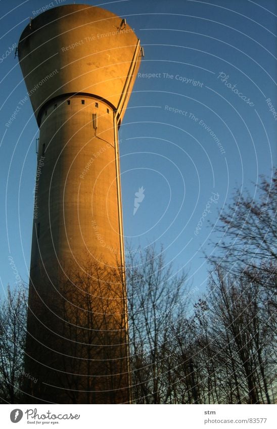 sexy sunset Cistern Provision Concrete Tree Sunset Geometry Window Forest Industry cylindrical Tower Shadow Attic Sky