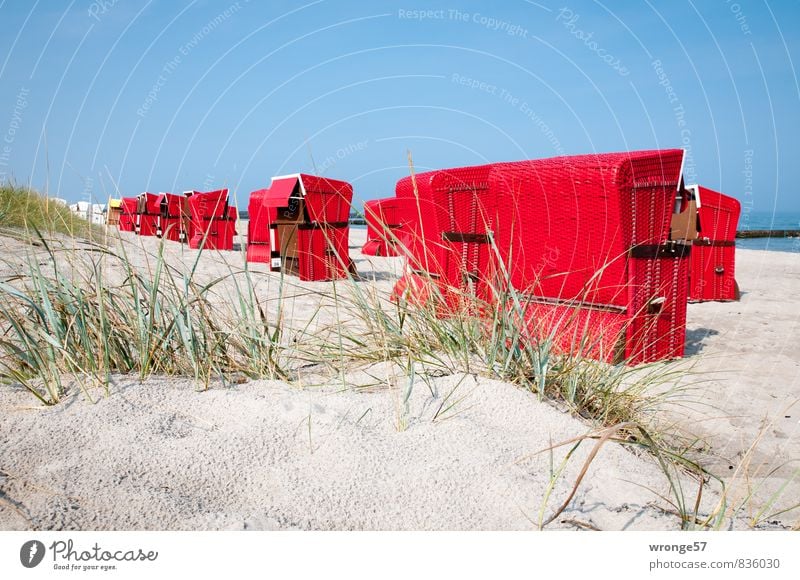 Beach chairs | Approach Vacation & Travel Tourism Summer Summer vacation Baltic Sea holiday Blue Green Red Beach dune Sandy beach Blue sky Cloudless sky Grass