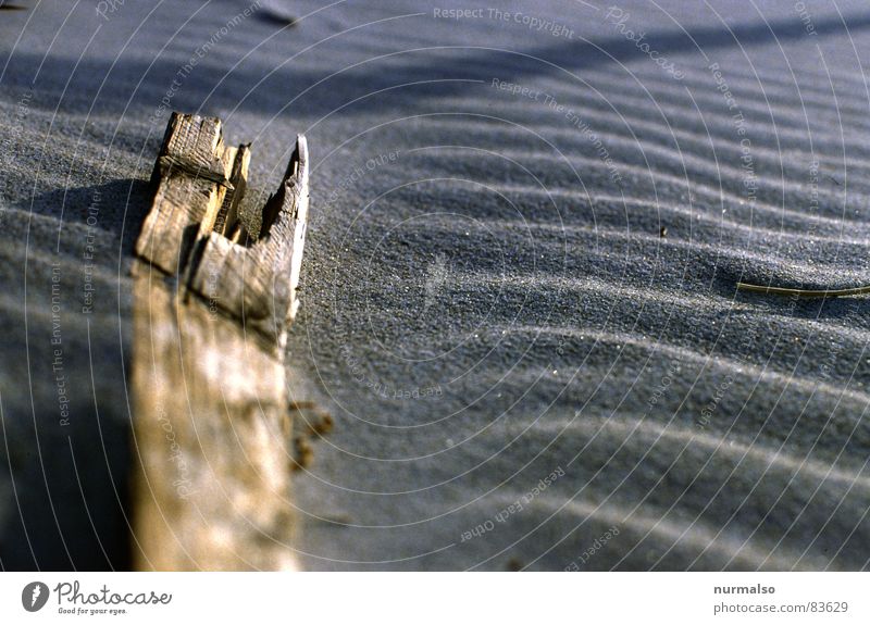 long down Lake Beach Wood Ocean Usedom Flotsam and jetsam Sandbank Source Bathing place Timber Wind Baltic Sea washed ashore east sea Focal point Coast