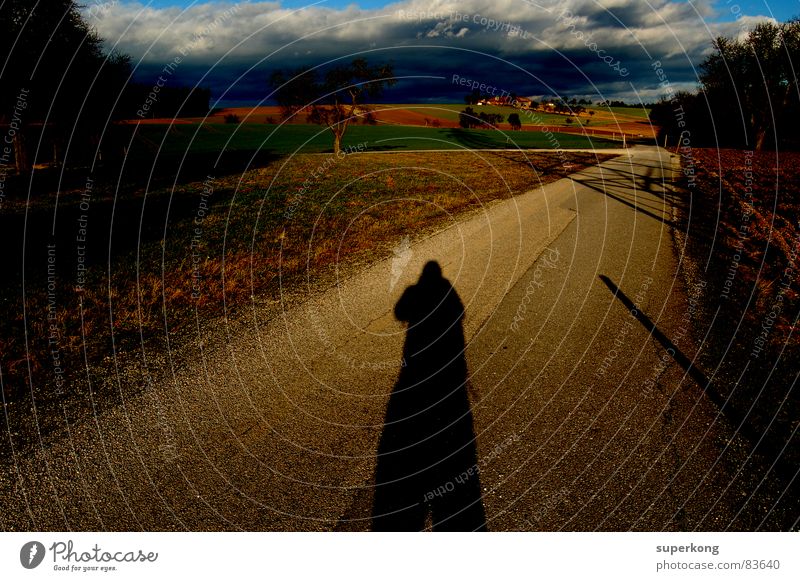 shadow To go for a walk Autumn Seasons Hiking Rain Alpine pasture Rural Country road Darken Going Early fall Shadow Summer Lanes & trails Human being Direction