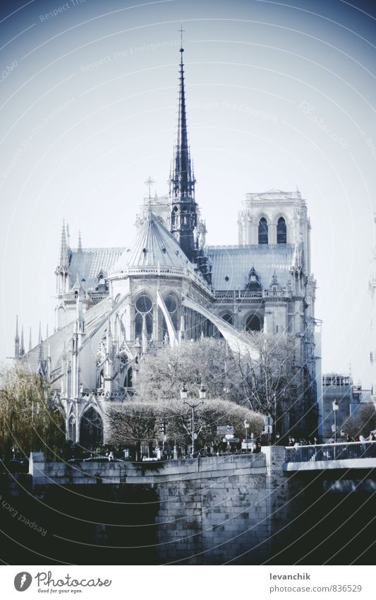 Notre Dame Tourism Trip Human being Blue Building Architecture Paris Colour photo Exterior shot Light Shadow Contrast