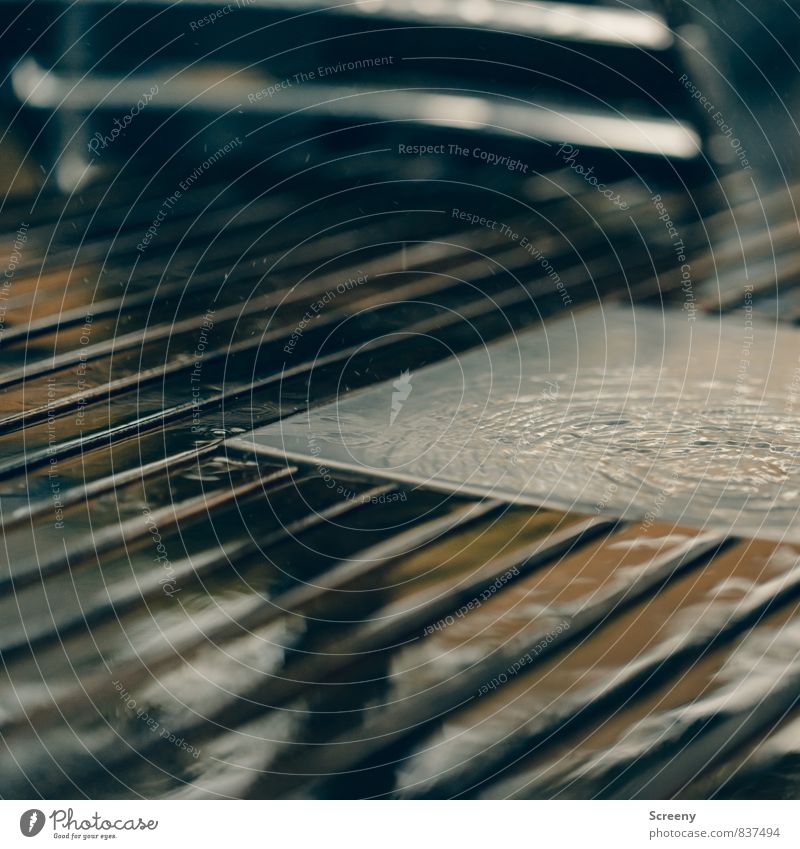 Rain again... Weather Bad weather Wet Brown Frustration Drops of water Water Wooden table Reflection Colour photo Exterior shot Detail Deserted Day