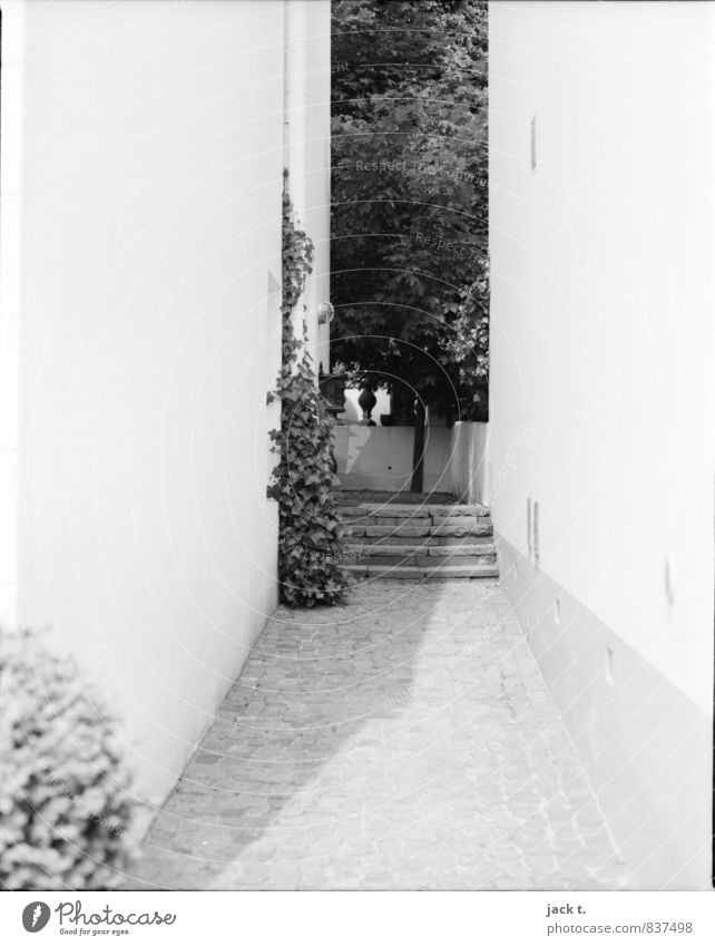 Shady place Port City Populated House (Residential Structure) Wall (barrier) Wall (building) Stairs Stone Moody Hallway Black & white photo Exterior shot Day