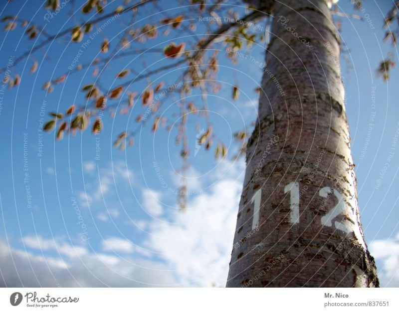 emergency tree Environment Sky Clouds Beautiful weather Tree Leaf Garden Park Large Digits and numbers Branch Emergency call 112 Label Three-digit Tree trunk