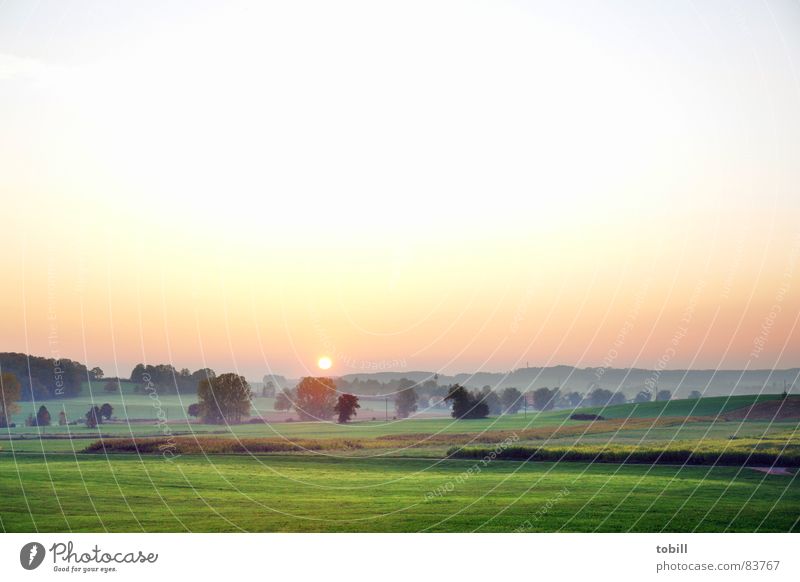 coloured soup Morning Fog Light Green Red Fantasy literature Fresh Soul Ecstasy Progress Tree Meadow Forest Dawn Stairs hobbit country Rope Crazy Emotions