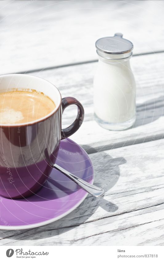 summer day Milk Coffee Pot Cup Mug Bottle Spoon Vacation & Travel Tourism Trip Summer Summer vacation Table Drinking Relaxation Violet White Contentment