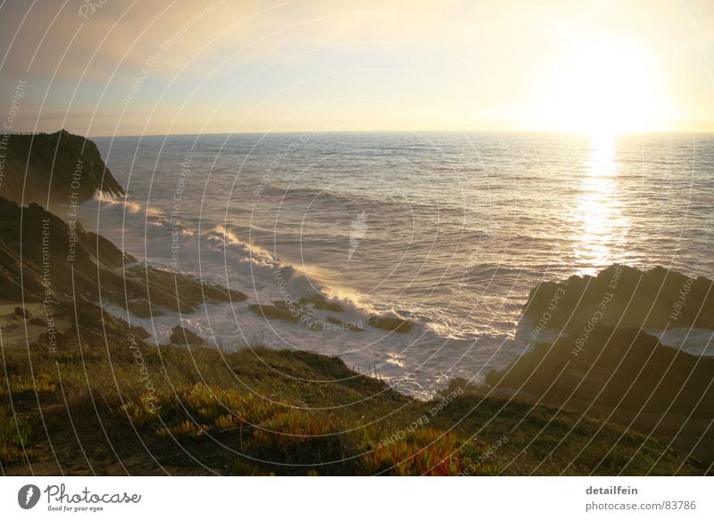 The day at the sea Lemonade Fishing (Angle) Beach Ocean Waves Sand Water Sky Horizon Grass Meadow Rock Coast Lake Navigation Green Sandbank Cliff Snap Surf