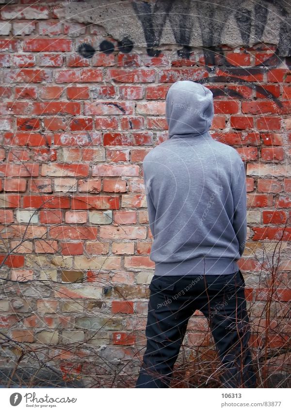 WANTED Wall (building) Masculine Man Fellow Brick Wall (barrier) Daub Posture Composing Painted Coincidence Bushes Hooded sweater Graffiti Shabby Mural painting