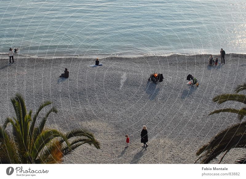 sunday morning beach Santa Margherita Ligure Italy Pebble beach Liguria Palm tree Ocean Sunday Leisure and hobbies winter beach