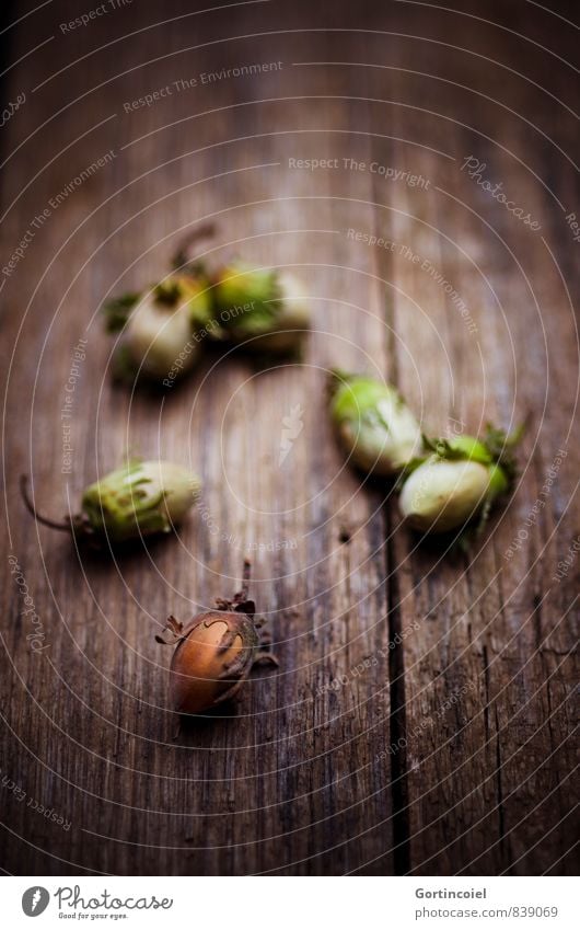 hazelnuts Autumn Winter Brown Nut Hazelnut Wooden table Autumnal Christmas & Advent Thanksgiving Hazel brown Colour photo Subdued colour Interior shot