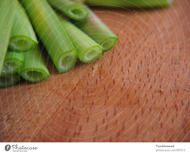 The solitude of daffodils Green Wood Stalk Hollow Brown Haircut Wood grain Close-up