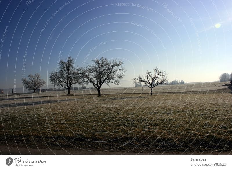 distance divine Tree Meadow Bavaria Mountain Landscape Sky Sun