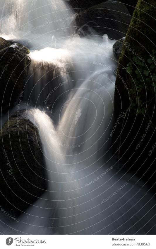 Moisture refreshes the skin Summer Nature Landscape Waterfall Triberg Waterfalls Black Forest Tourist Attraction Stone Observe Discover To fall Dive Esthetic