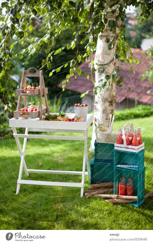 summer garden party Fruit Nutrition Picnic Finger food Crockery Nature Garden Delicious Sweet Party Party service Summery Summerfest Colour photo Exterior shot