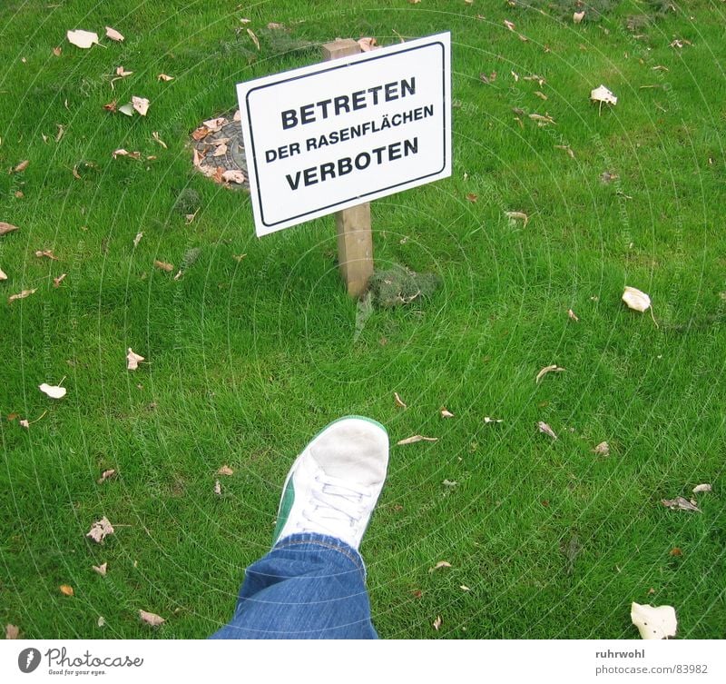 No trespassing!² Exceed Risk Isolated Green Meadow Juicy Poison Footwear Fear Barrier Leaf Brown Stripe Black Narrow Repression Exterior shot Sneakers Impulse