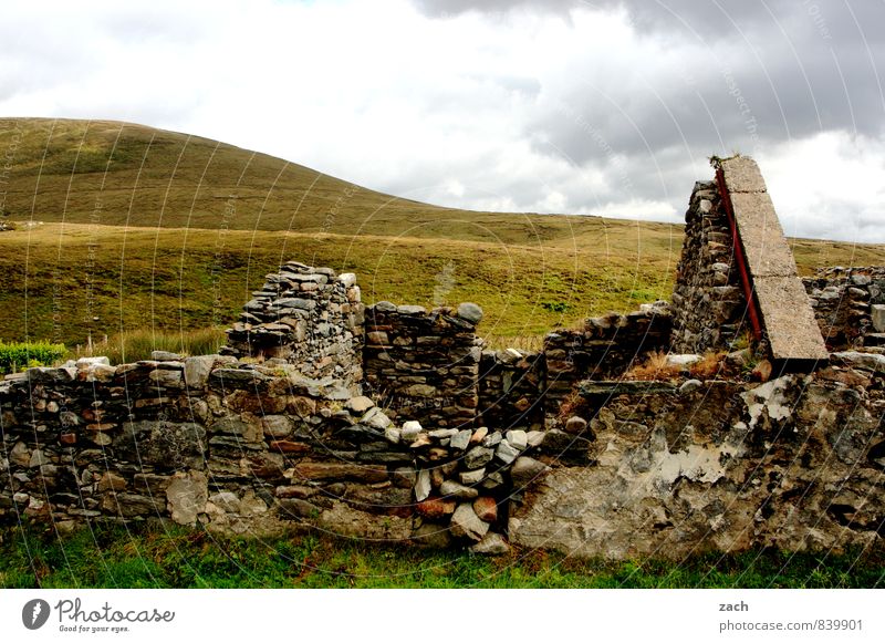 Patience, wait for the roofer. House (Residential Structure) Ruin Roof Old Living or residing Broken Decline Transience Ireland Fieldstone house Colour photo