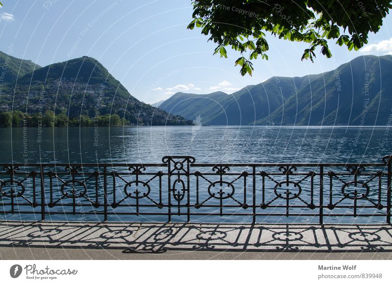 Lago du Lugano Landscape Lake Lake Lugano Canton Tessin Switzerland Europe Idyll Vacation & Travel Calm Promenade Colour photo Exterior shot Deserted Morning