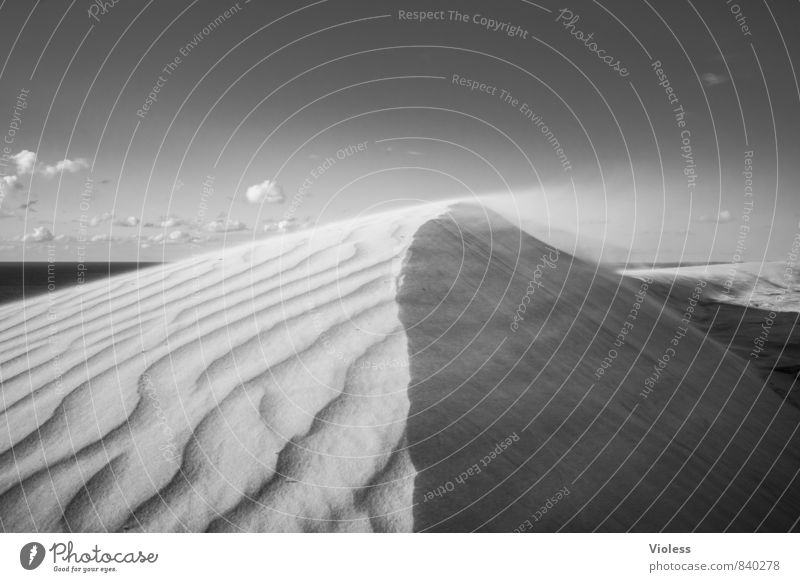 sandstorm Adventure Expedition Environment Nature Landscape Elements Sand Gale North Sea Desert Black White Dune Structures and shapes Sandstorm Wind