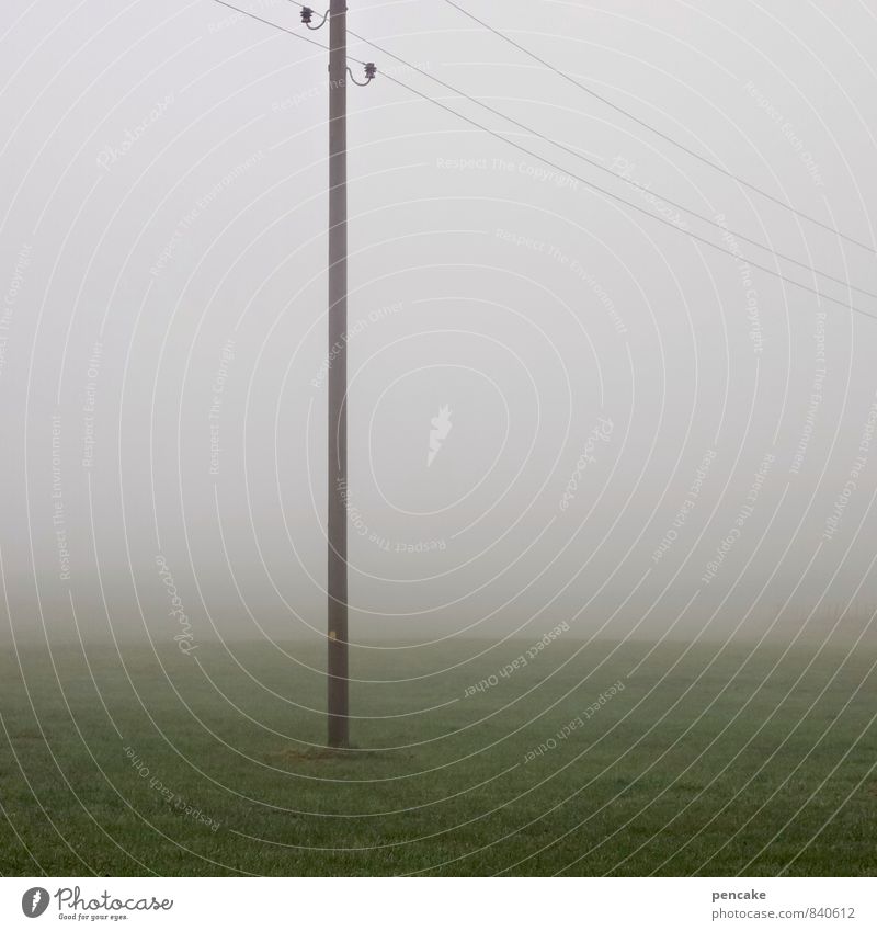 opaque Nature Landscape Autumn Fog Meadow Field Transience Electricity pylon Damp Screening Colour photo Subdued colour Exterior shot Detail Copy Space right