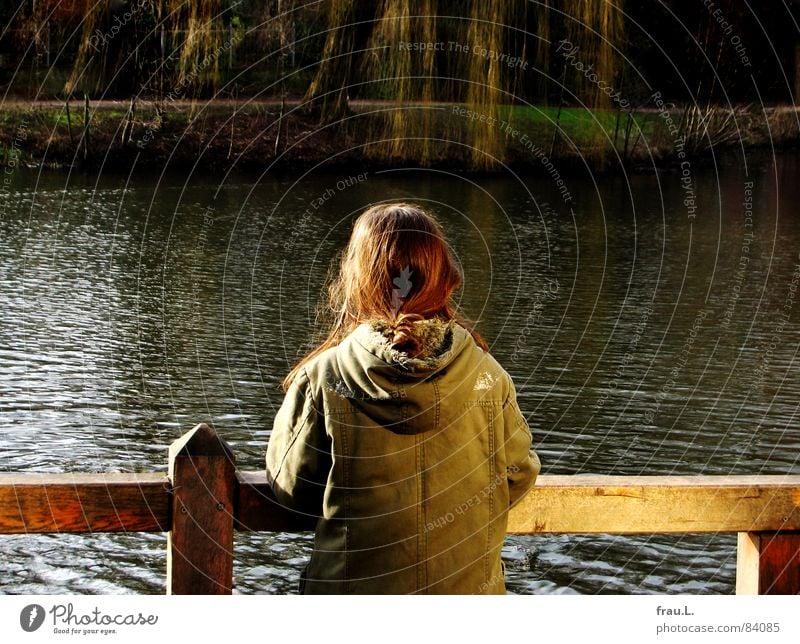 At the lake Lake Water Pond Tree Fence Loneliness Wait Lakeside Willow tree Observe Calm Peace Child Girl Leisure and hobbies parker Escarpment Peaceful