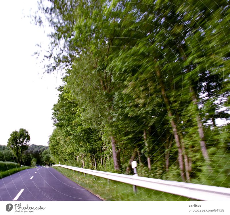 On the left are trees ... Roadside Country road Lane markings Median strip Crash barrier Tree Bushes Reflector post Speed Vacation & Travel Summer Pavement