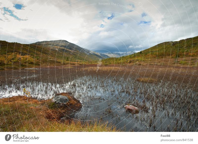 Weather / and it gets better Trip Adventure Far-off places Expedition Camping Mountain Hiking Landscape Plant Animal Water Sky Clouds Summer Climate