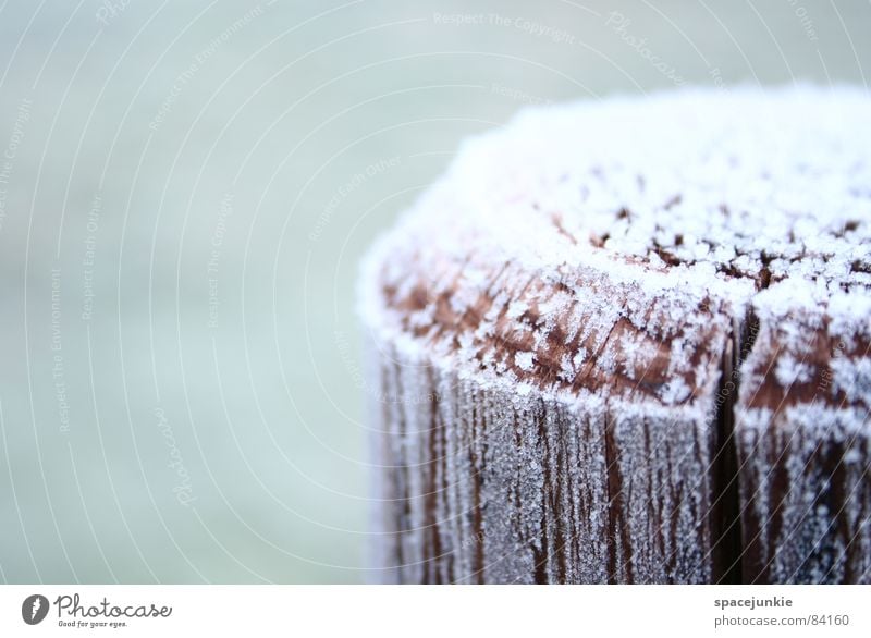 sugar icing Cold Seasons Wood Wooden stake Rural Winter Ice Rustic Macro (Extreme close-up) Close-up Snow chill