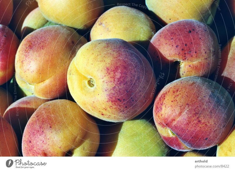 Apricots 2 Fruit basket Still Life Juicy Sweet Delicious Healthy apricots