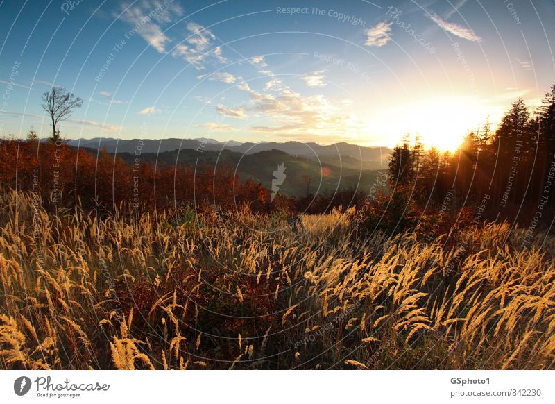 Evening mood in autumn Mountain Hiking Nature Landscape Sunrise Sunset Autumn Beautiful weather Relaxation Esthetic Blue Multicoloured Yellow Red