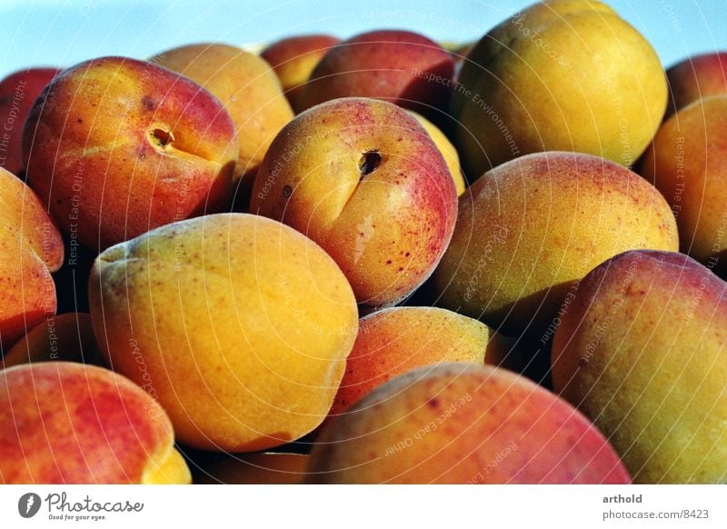 Apricots 1 Fruit basket Still Life Juicy Sweet Delicious Healthy apricots