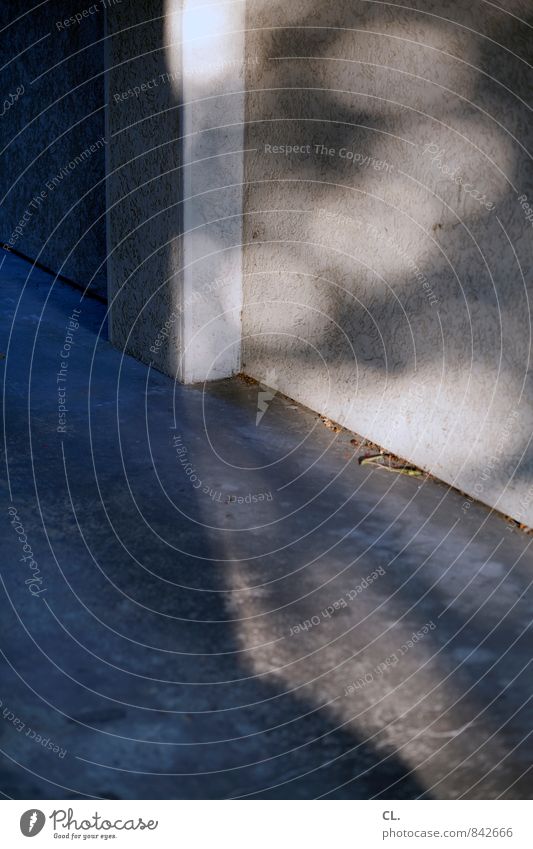 Please follow the light. Sunlight Wall (barrier) Wall (building) Gloomy Transience Photos of everyday life Ground Colour photo Exterior shot Deserted Day Light