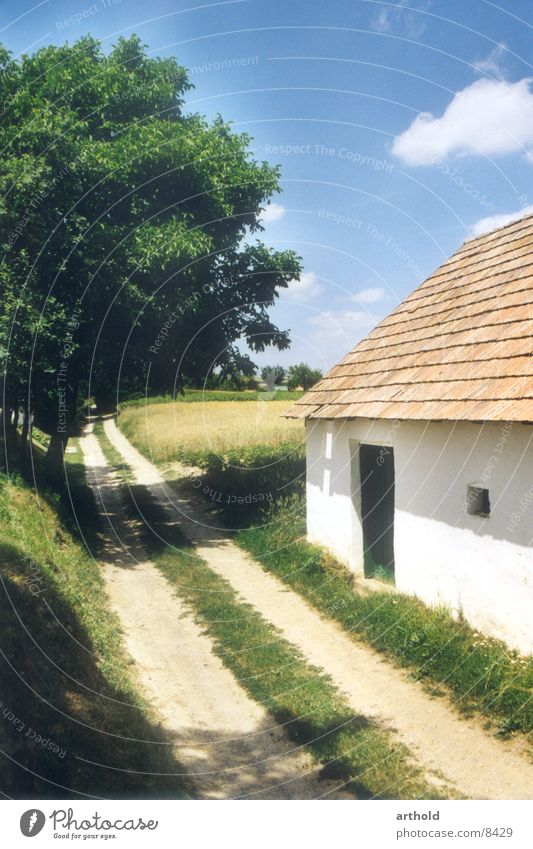 cellar lane Austria Federal State of Lower Austria Wine growing Romance Idyll Historic Architecture Weinviertel Old