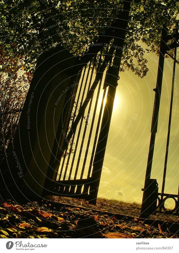 Looking back II Gate Cemetery Calm Eternity Infinity Rest Death Worm's-eye view Back-light Wrought iron Wrought ironwork Pole Religion and faith Autumn