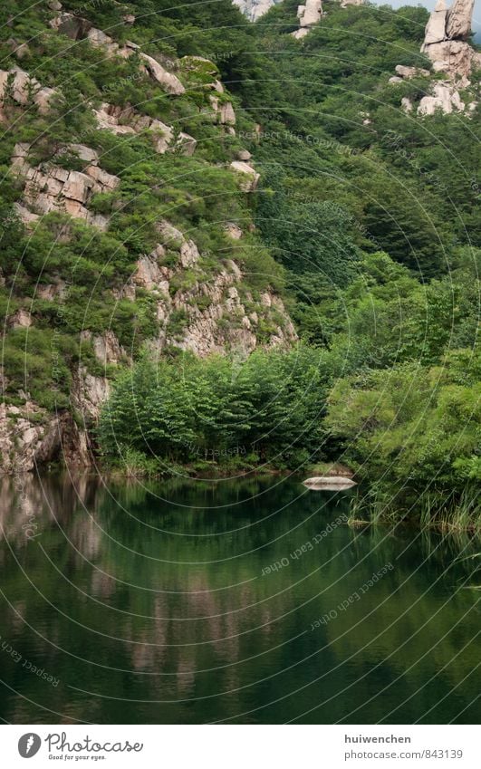 mountain and lake Nature Landscape Plant Water Summer Tree Forest Virgin forest Rock Mountain Lake Large Brown Green Serene Calm Reflection Colour photo