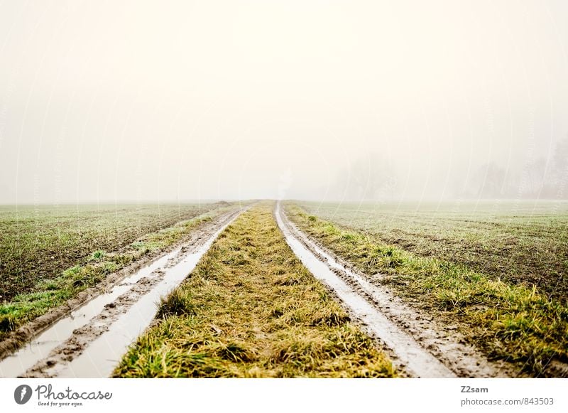 In the country Environment Nature Landscape Earth Climate Weather Bad weather Fog Meadow Field Lanes & trails Tractor Dirty Simple Fresh Cold Sustainability