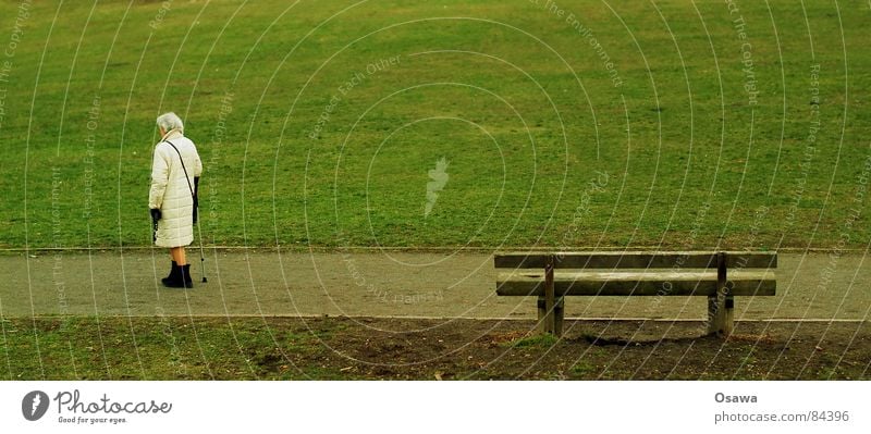 the old woman and the bank Gray-haired White-haired Walking aid Woman Human being Senior citizen Autumn Meadow Green Grass Park bench To go for a walk Stick