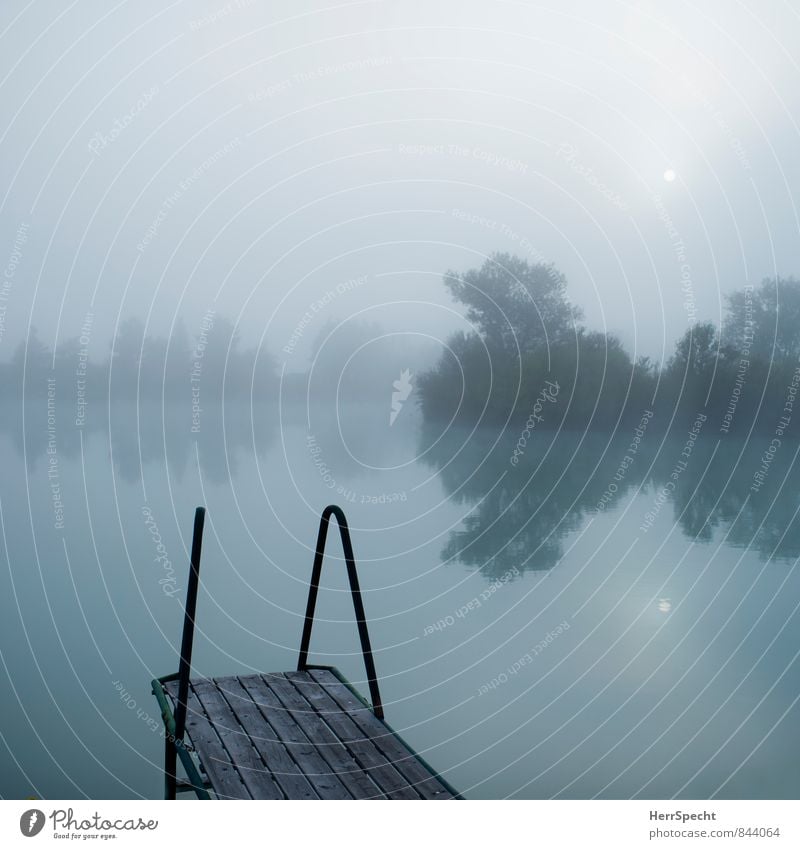 Fog lake with small sun Harmonious Relaxation Calm Swimming & Bathing Vacation & Travel Trip Environment Nature Water Sky Horizon Summer Tree Lakeside Pond