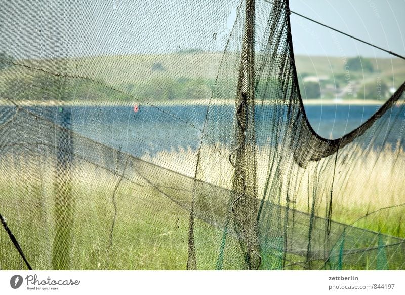 fishing net Relaxation Vacation & Travel Rügen Horizon Coast Mecklenburg-Western Pomerania Ocean Baltic Sea Boddenlandscape NP Lake Body of water Landscape Net