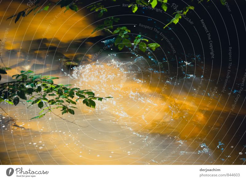 Calm waters, the sun shines on the golden yellow water on a sandy bed..Green branches hang above. So the Schwarzachklamm is the wild romantic near Nürnberg / Bavaria