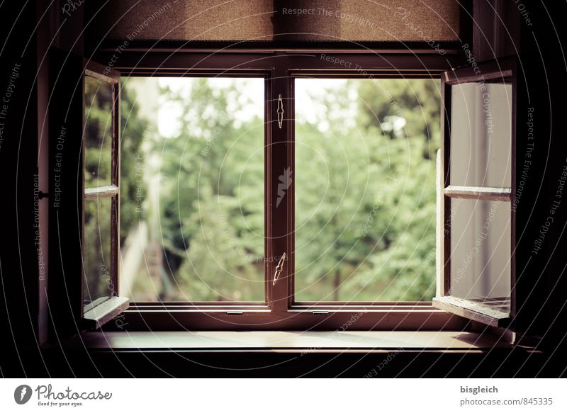 Window into the green Summer Tree Village Wood Glass Brown Green Far-off places Tolerant Colour photo Interior shot Deserted Day Shallow depth of field