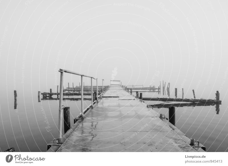 Footbridge on the shore of the small Müritz Environment Nature Landscape Water Sky Clouds Sunlight Autumn Fog Lakeside Wood Metal Cold Wild Soft Gray Black