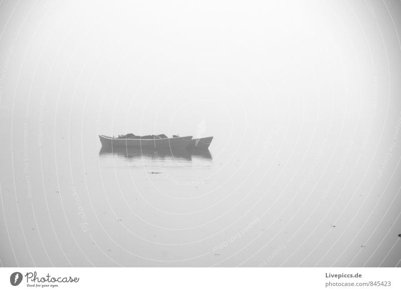 harbour at the swamp lake Fishing (Angle) Vacation & Travel Environment Nature Water Clouds Autumn Fog Lakeside Fishing boat Lie Cold Wet Gray Black White